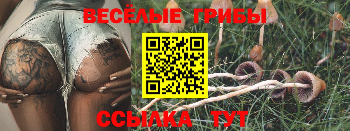 Лангепас  Псилоцибиновые грибы Cubensis  Галлюциногенные грибы Cubensis  Вход с VPN 